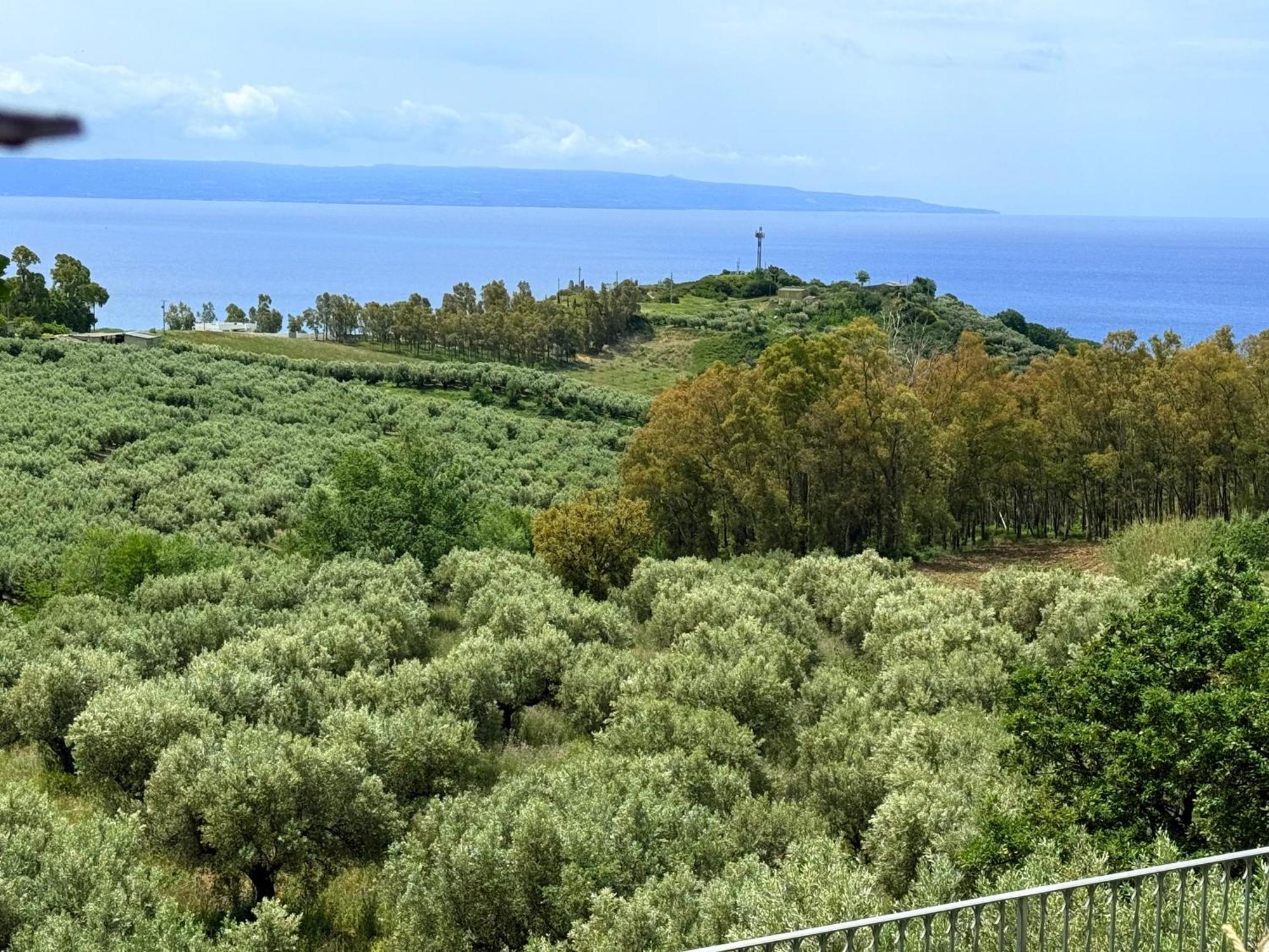 Bed and Breakfast Casale Calabria Джиццерия Экстерьер фото